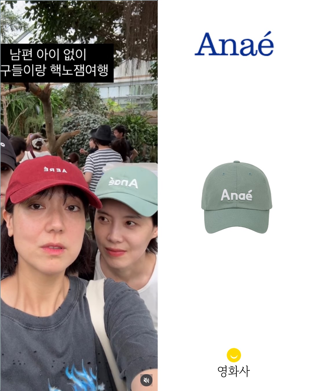 @younghwasa_celeb이 올린 아나에 | Anaé 태그 게시물
