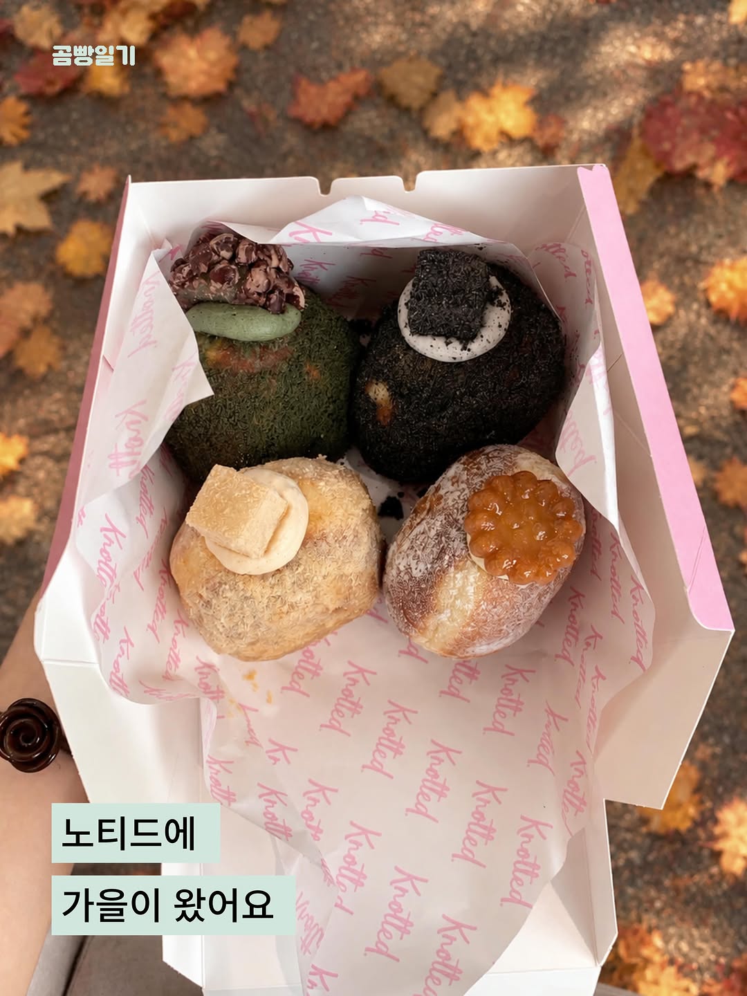 @gom.breadi이 올린 노티드 태그 게시물