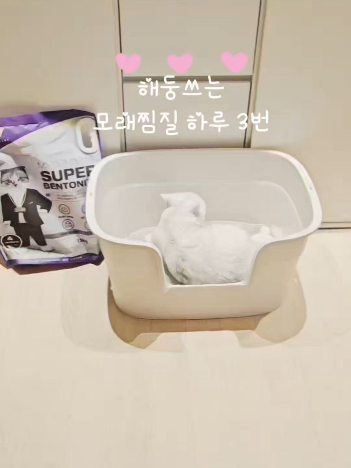 @djo_house이 올린 마이도미넌트 고양이모래 태그 게시물