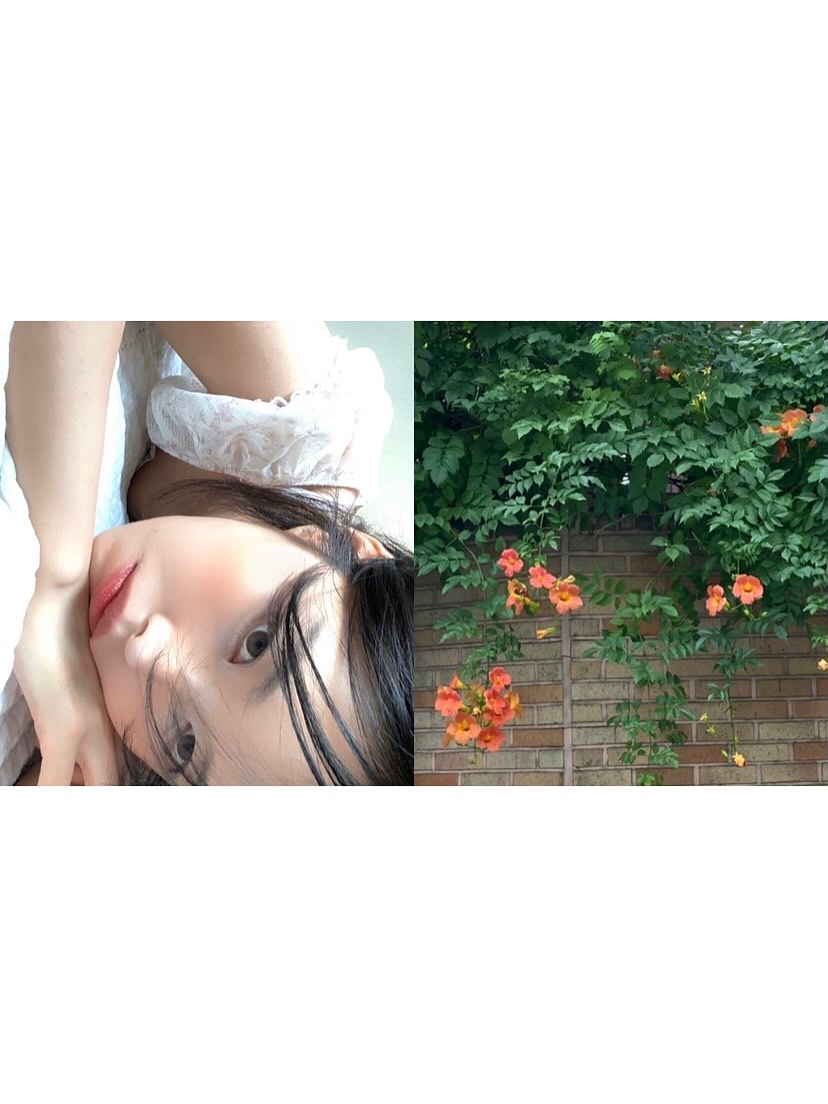 @zysuon이 올린 렌즈미 LENSME 태그 게시물
