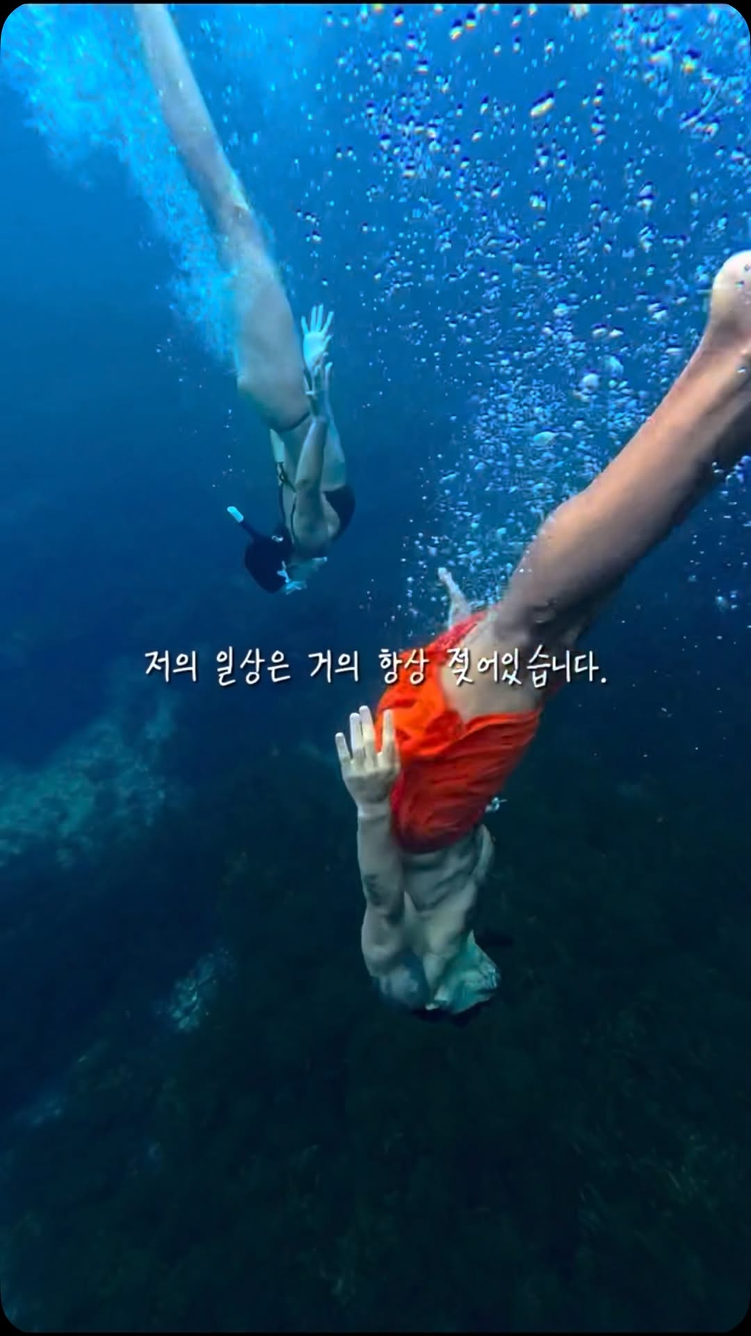 @diving_cheodori이 올린 아나파 태그 게시물
