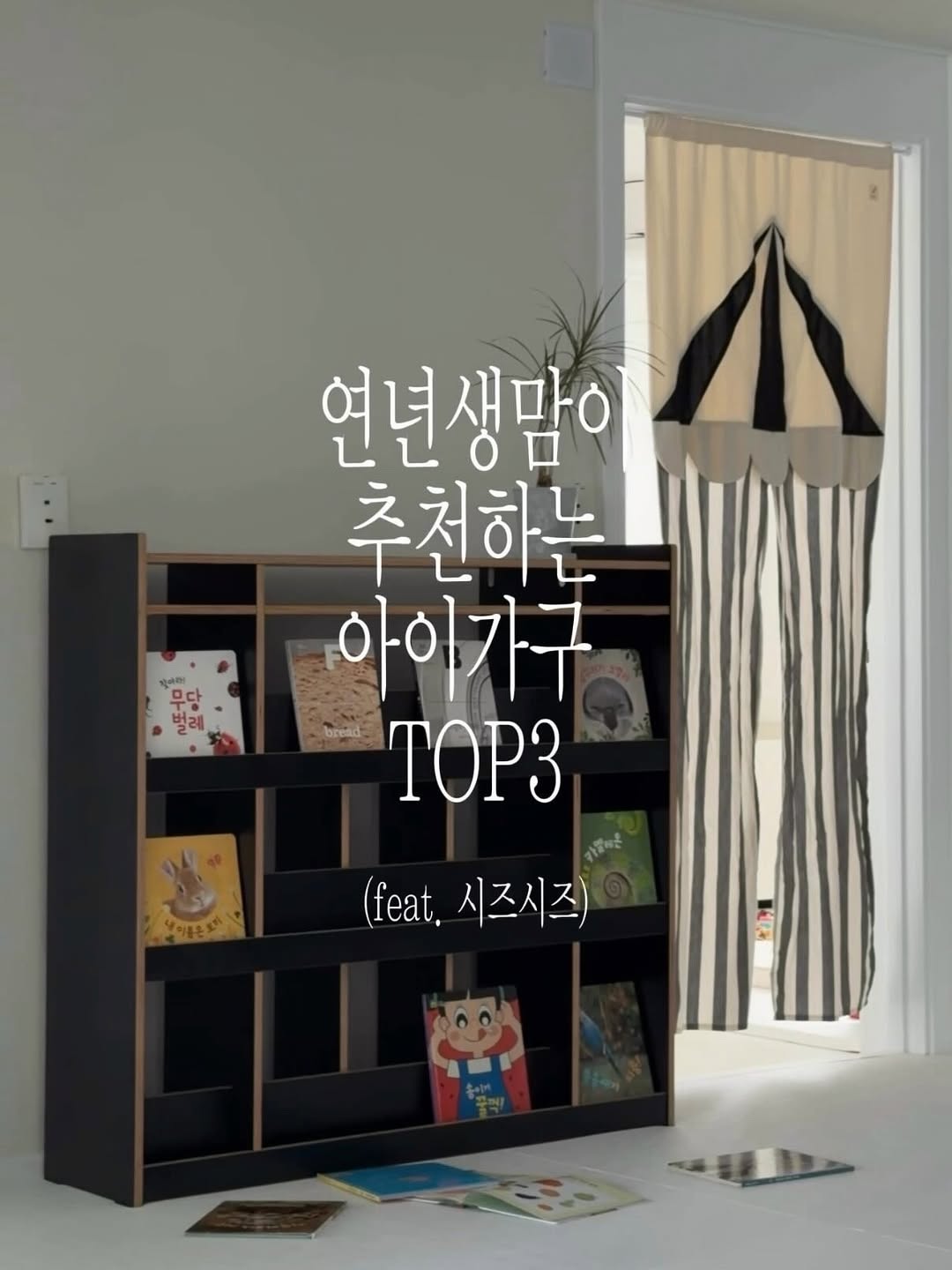 @_standing_home이 올린 시즈시즈 태그 게시물