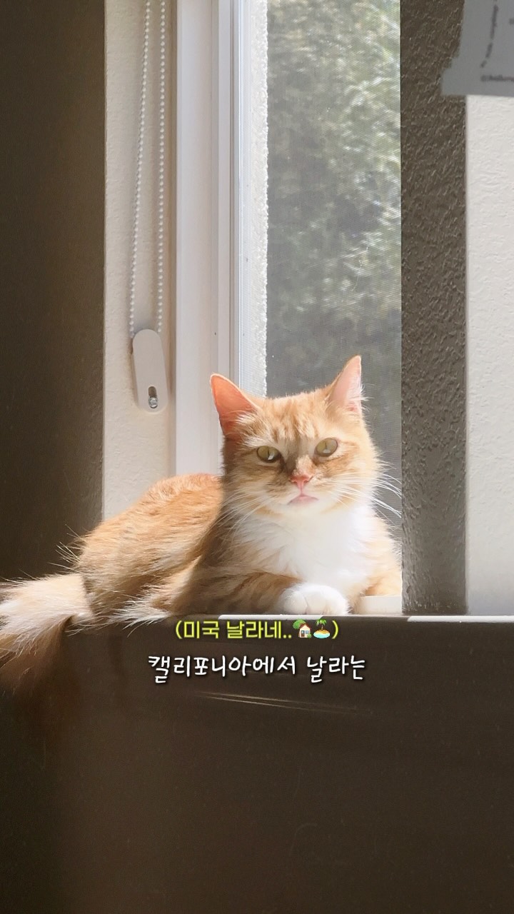 @nala_chopchop이 올린 펫프렌즈 태그 게시물