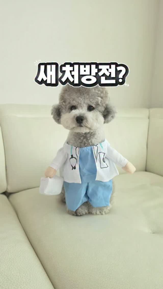 @pudding_huchu이 올린 마이펫닥터 태그 게시물