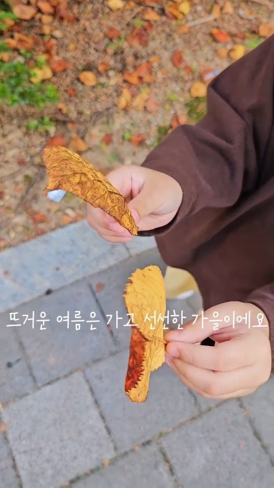 @love_heekung이 올린 포코로 태그 게시물