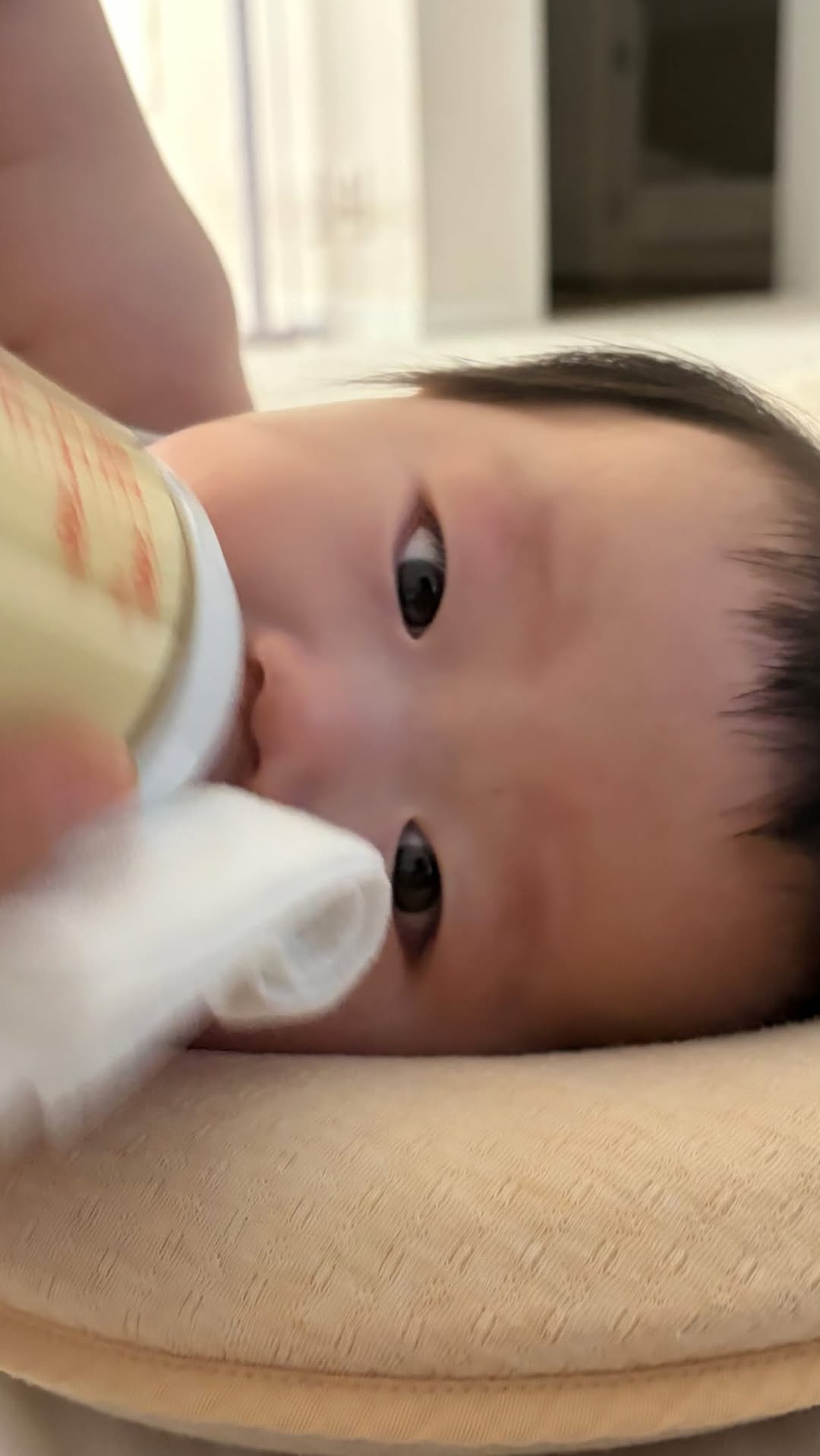 @petit_junseo_이 올린 릿첼 태그 게시물