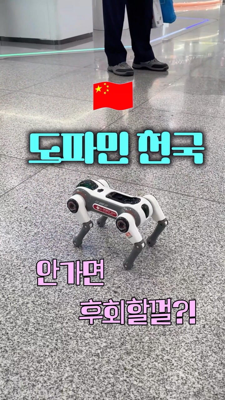@haddo_pick이 올린 트립홀릭 태그 게시물