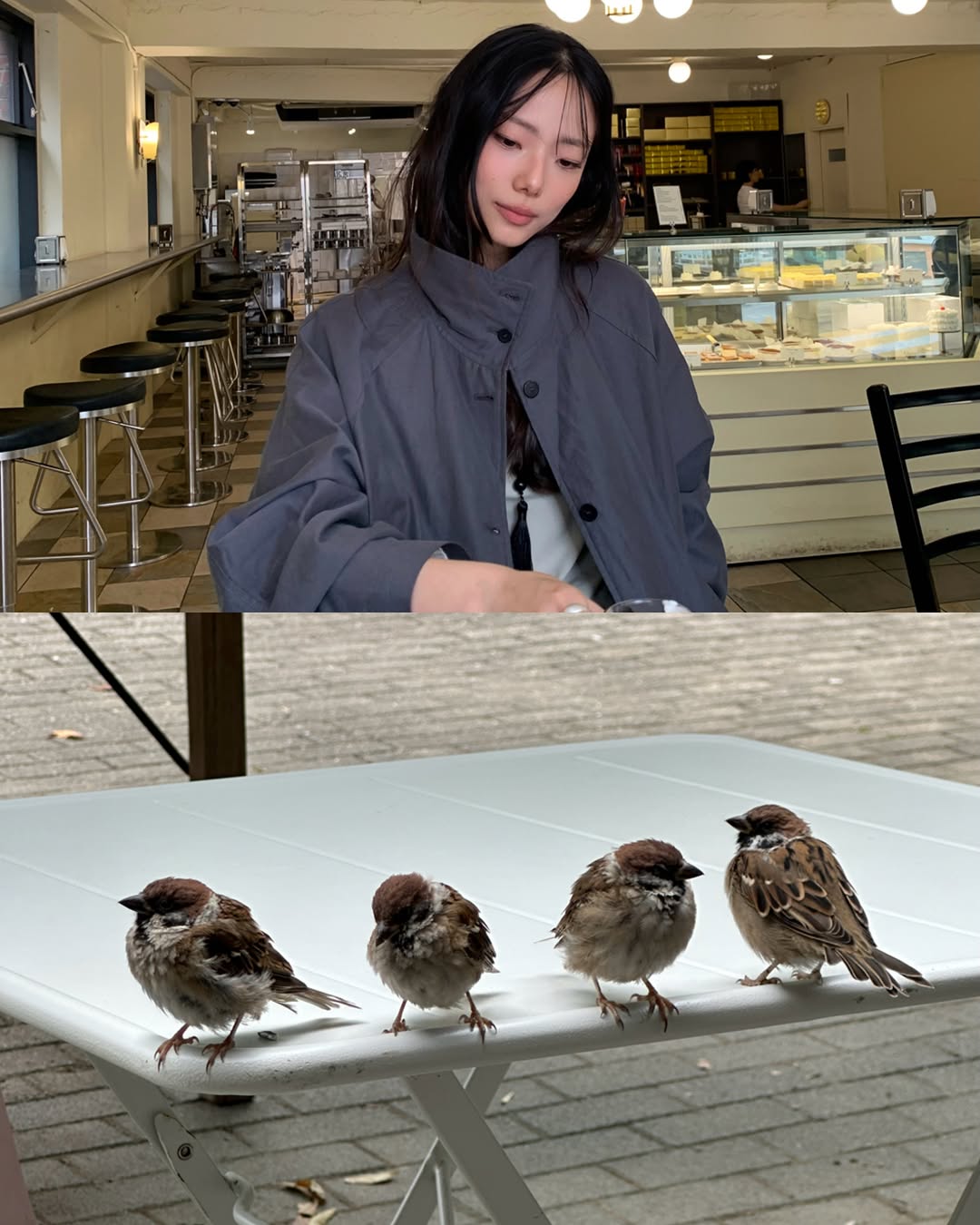 @badahaejin이 올린 Folnua 폴뉴아 태그 게시물