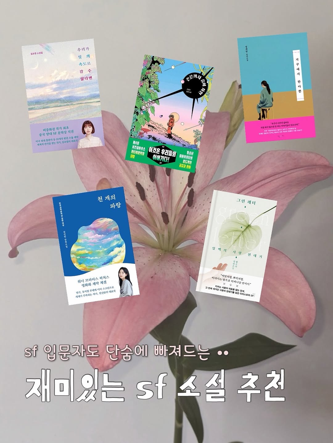 @onu_booklog_이 올린 위즈덤하우스 키즈 태그 게시물
