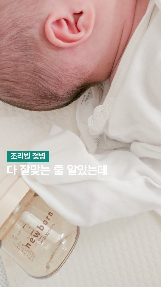 @ju2_pia이 올린 토비앤몰리 태그 게시물