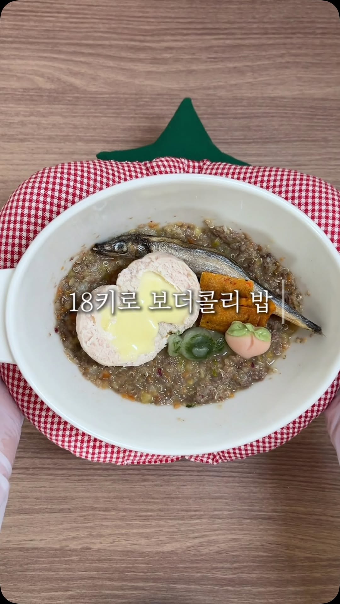 @dodo__chiru이 올린 씽크라이크펫 태그 게시물
