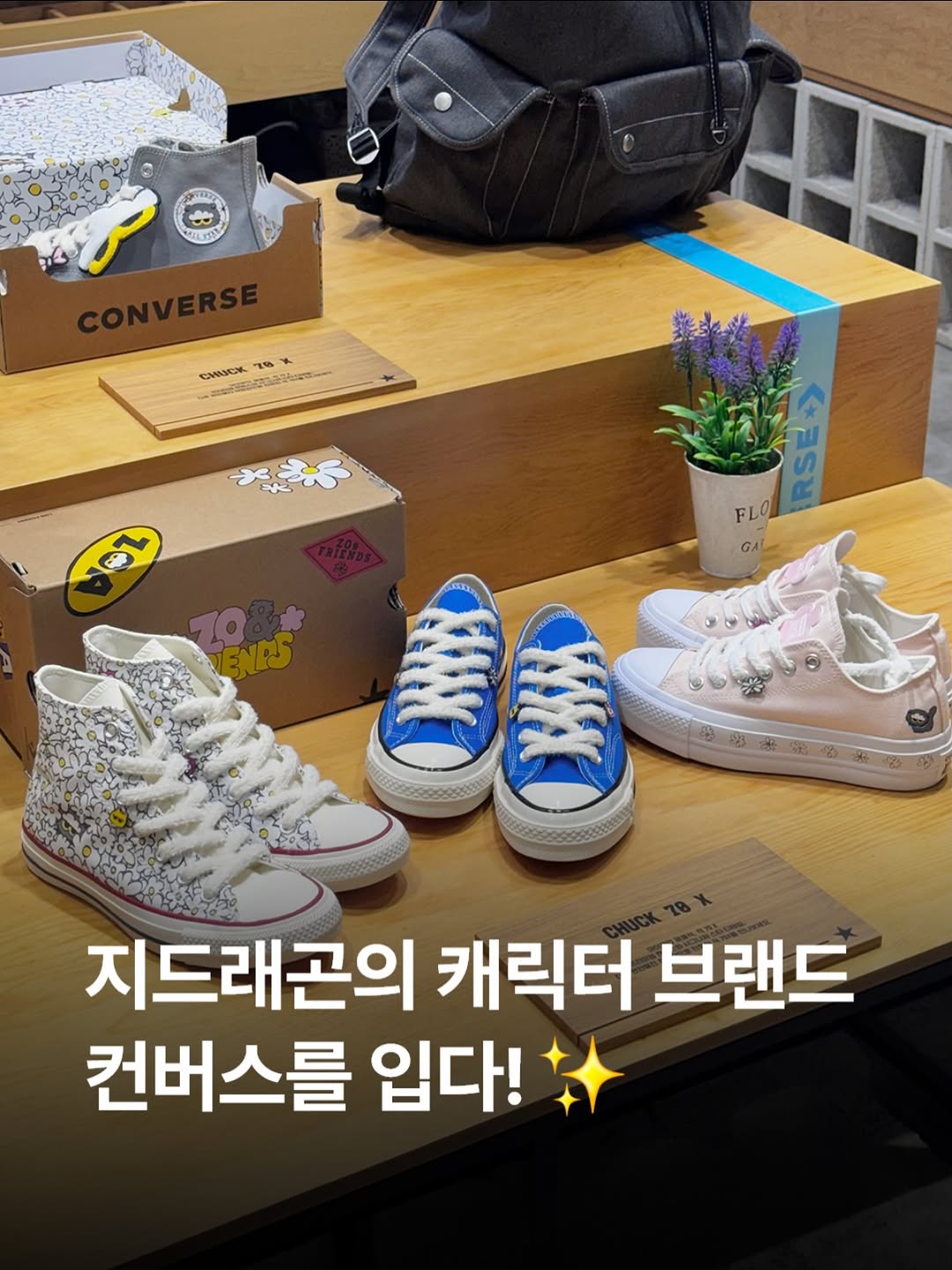 @doota_official이 올린 컨버스 태그 게시물