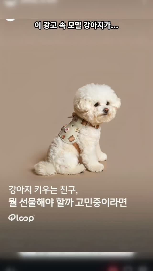 @2day._.hobbang이 올린 플룹 | Ploop™ 태그 게시물