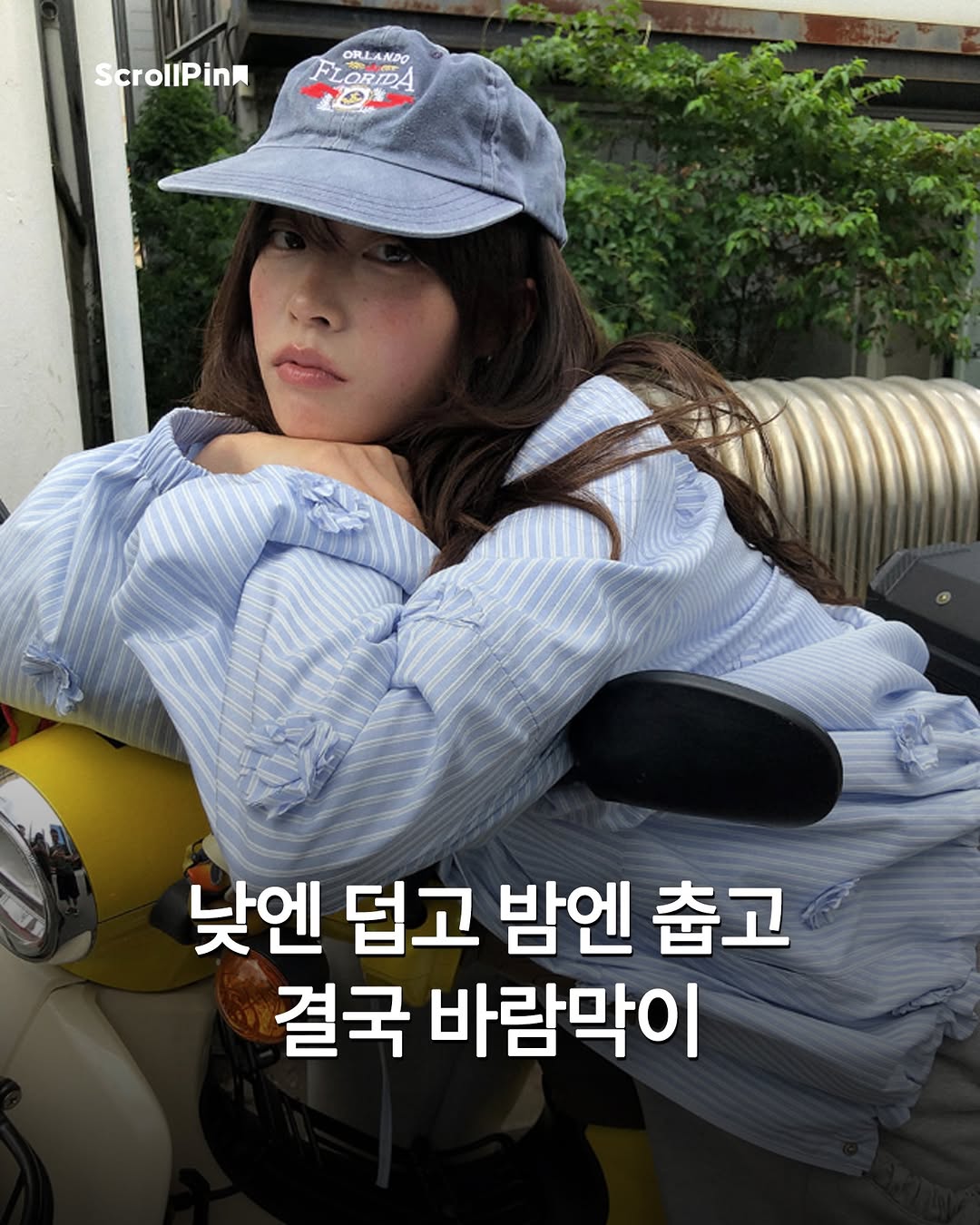@scrollpin이 올린 틸아이다이 태그 게시물