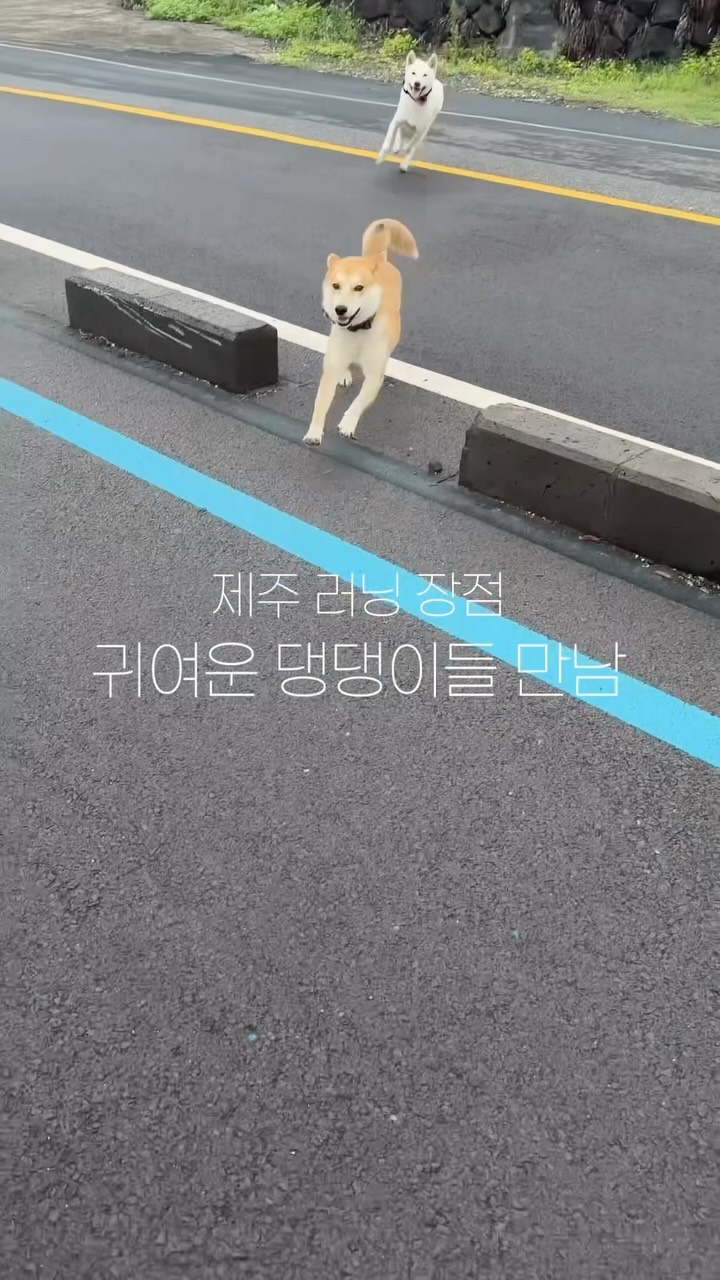 @saidseoui이 올린 런허 RHUNHER 태그 게시물