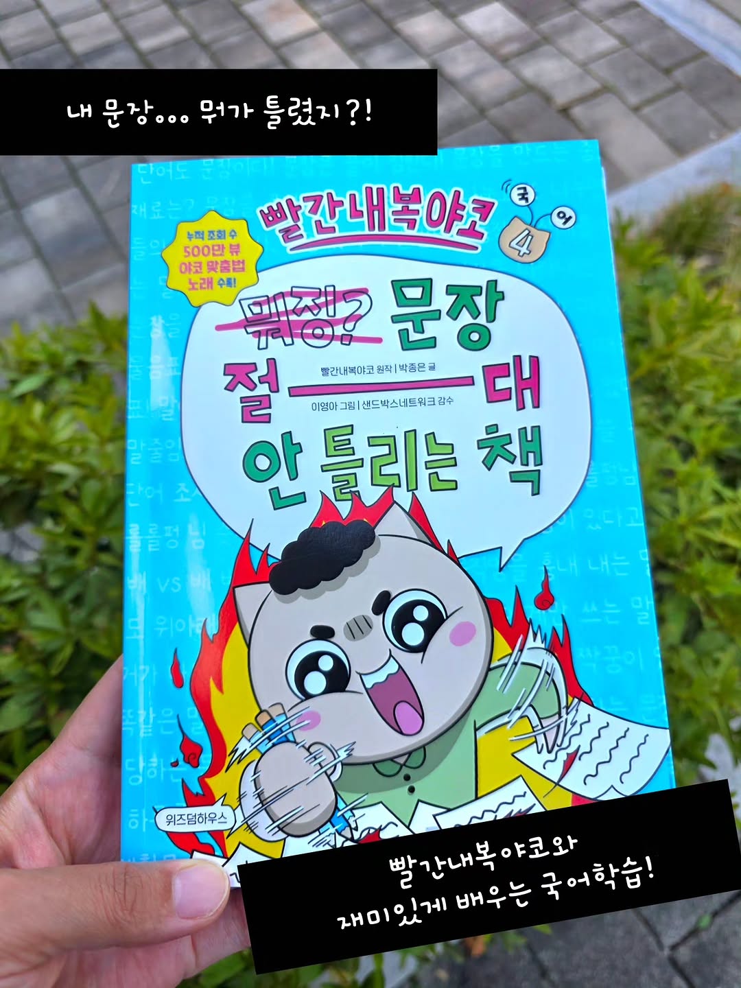 위즈덤하우스 키즈 광고 소재