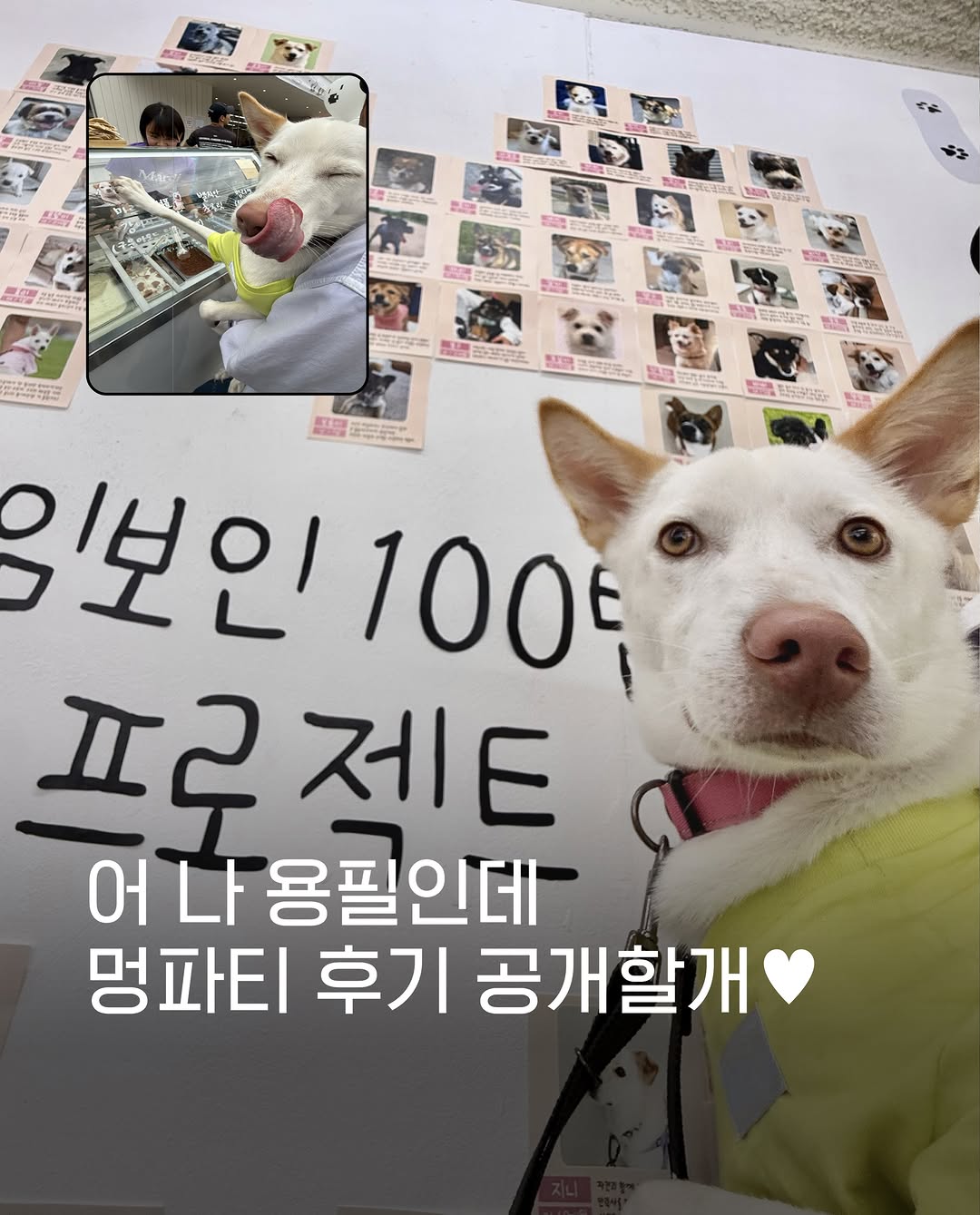 @heodukgoo이 올린 Mardi Mercredi 태그 게시물