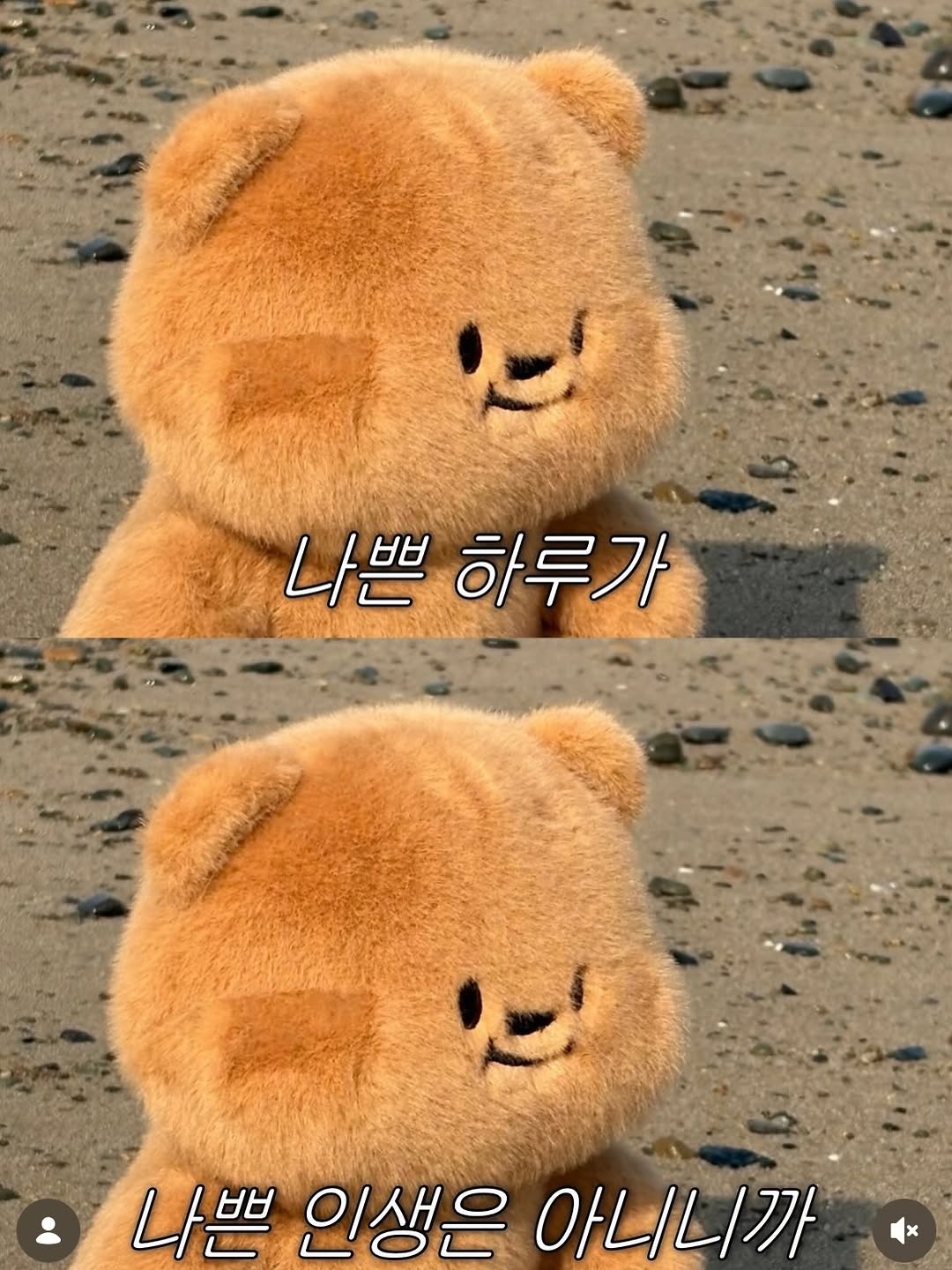 @gwangju.now이 올린 빵고미 태그 게시물