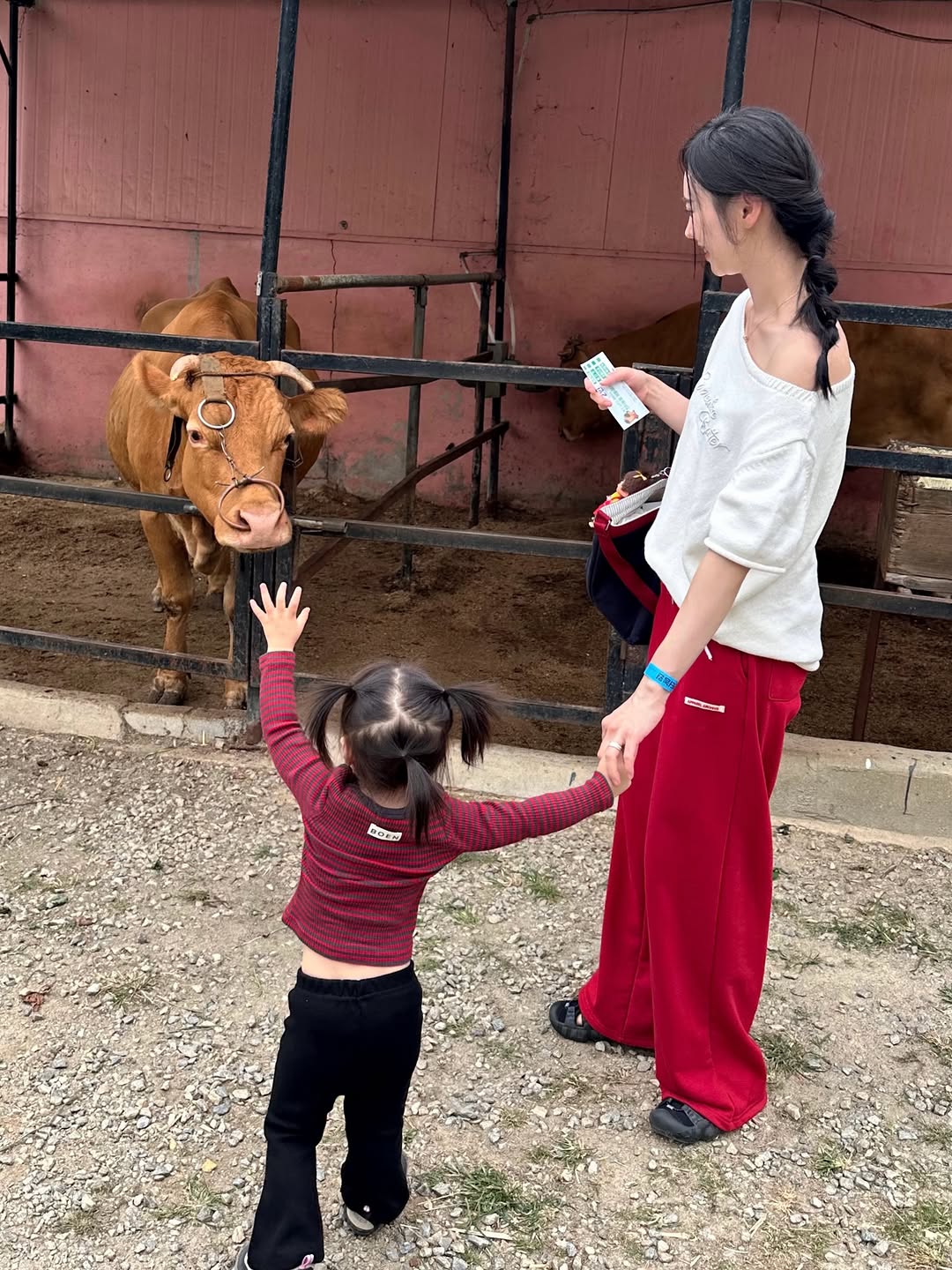 @zeehye_han이 올린 톤캬 태그 게시물