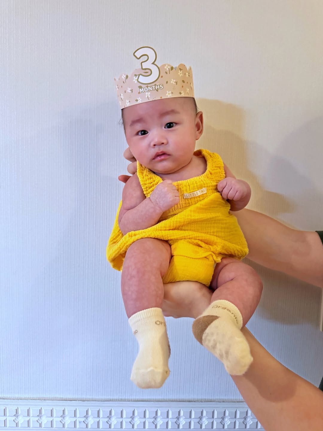 @ud_yulo이 올린 하루를 입히다, 리틀티니 태그 게시물