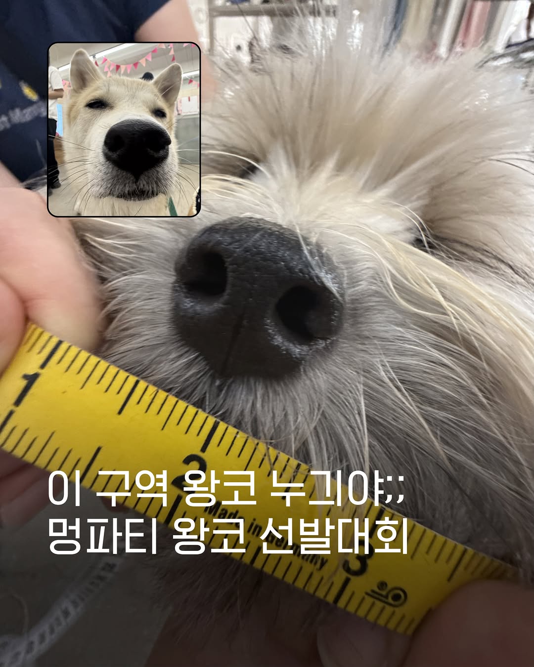 @heodukgoo이 올린 Mardi Mercredi 태그 게시물