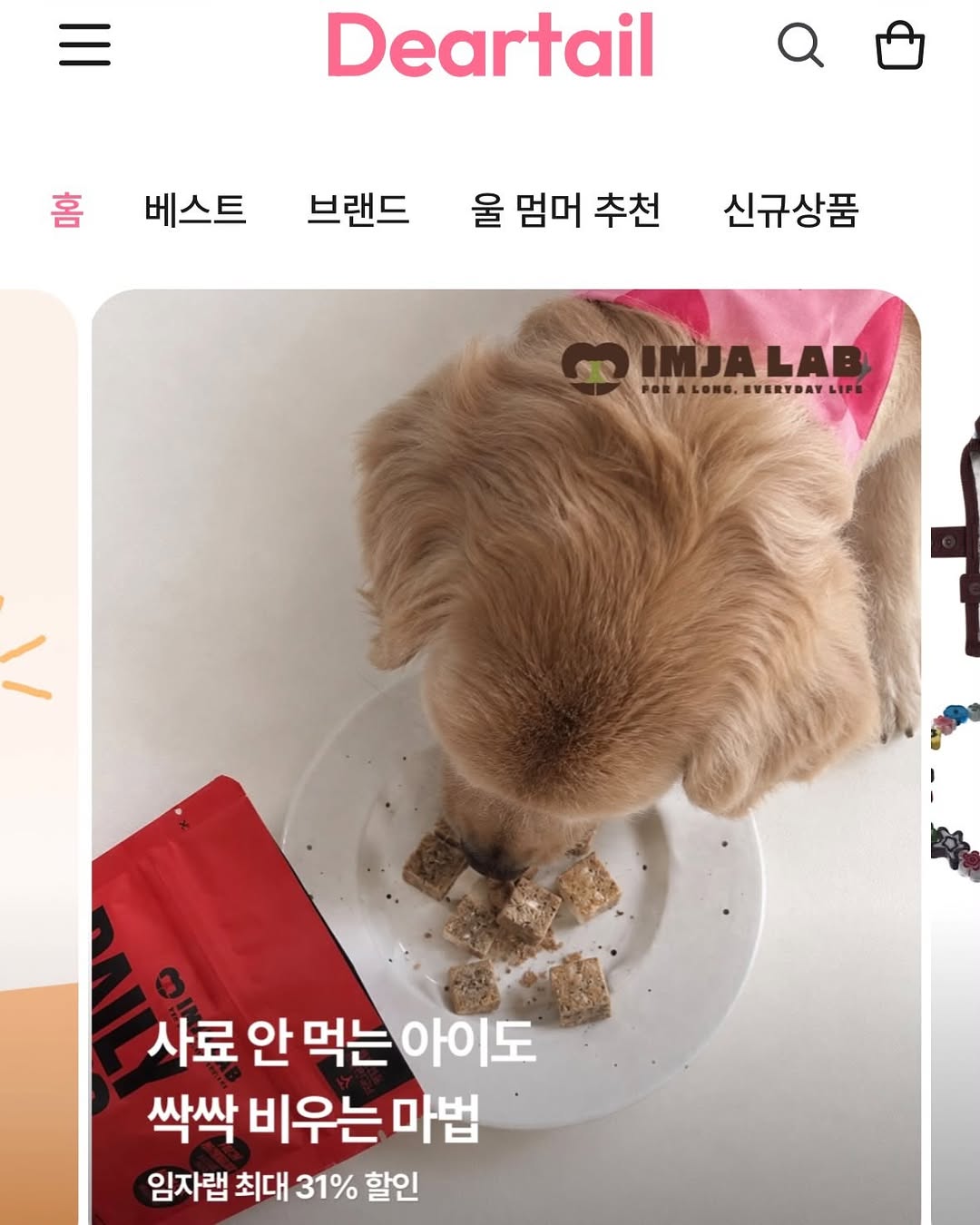 @imja_lab이 올린 디어테일💕 태그 게시물