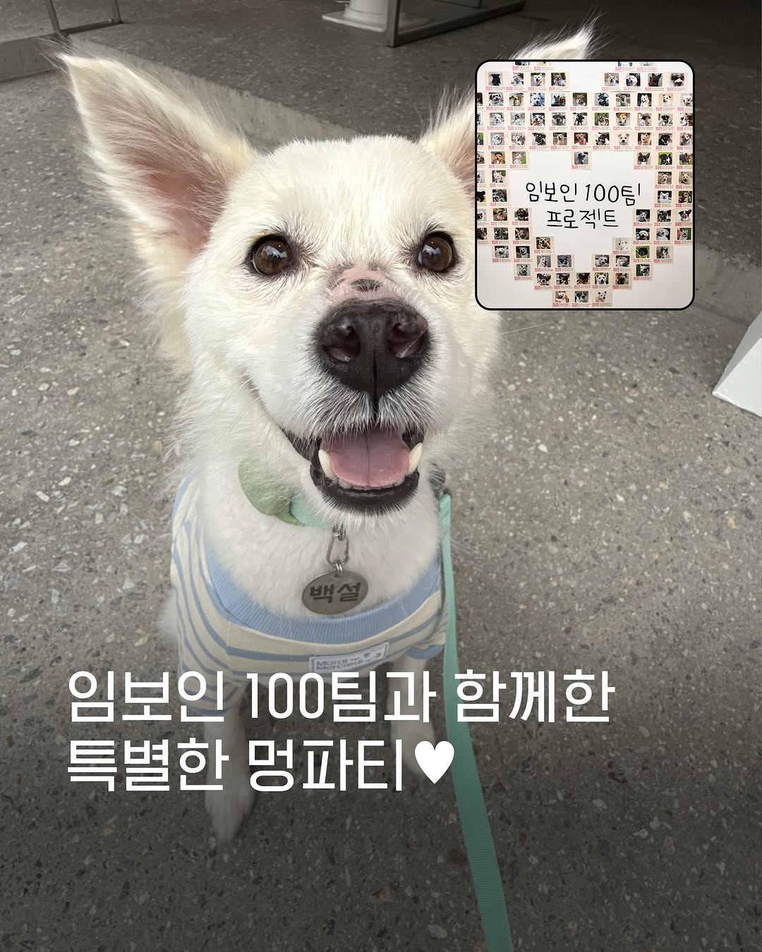 @heodukgoo이 올린 Mardi Mercredi 태그 게시물