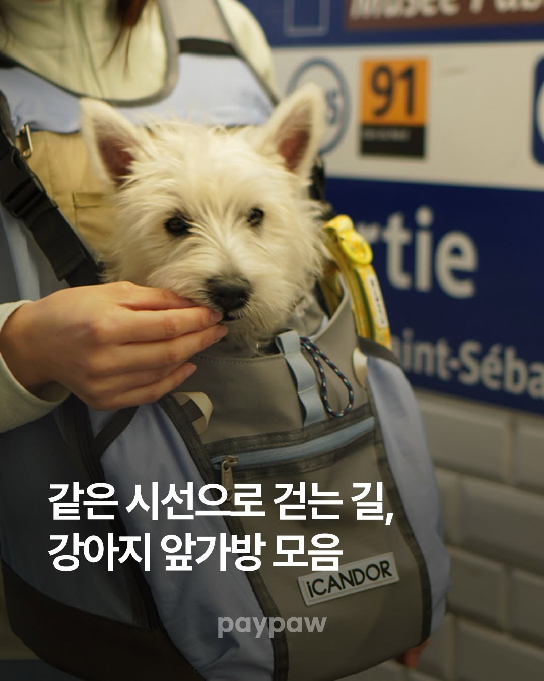 @paypaw.co.kr이 올린 컴피라비올리 태그 게시물