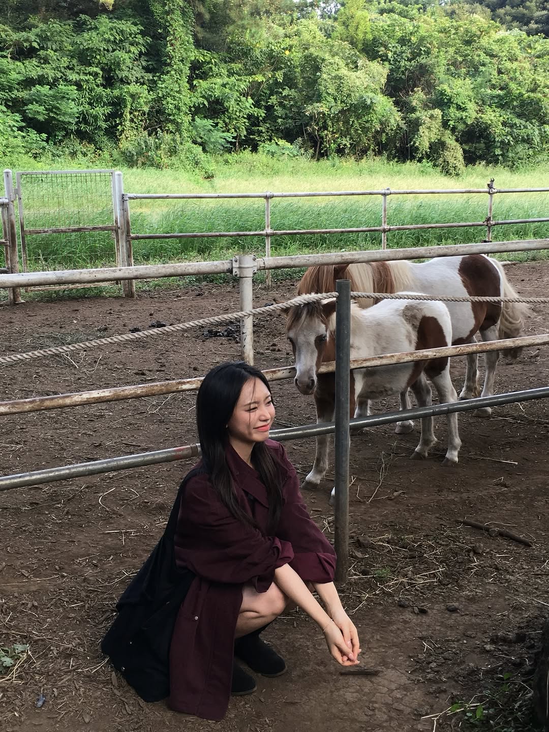 @youuuu_h이 올린 틸아이다이 태그 게시물