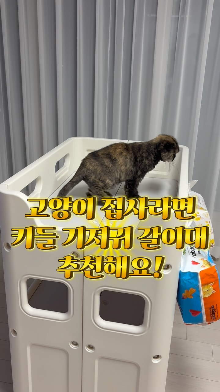 @ggaggung_26이 올린 키들 태그 게시물