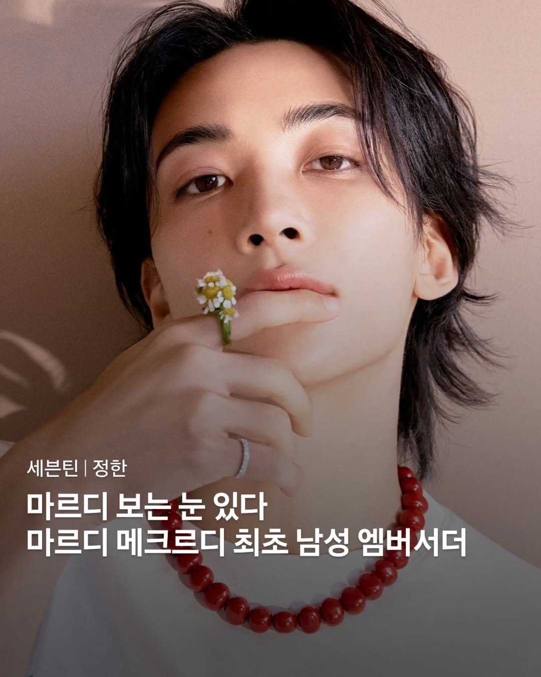 @danjihani이 올린 Mardi Mercredi 태그 게시물