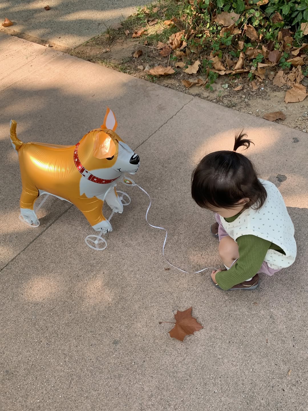 @todayand_s이 올린 해피랜드 태그 게시물