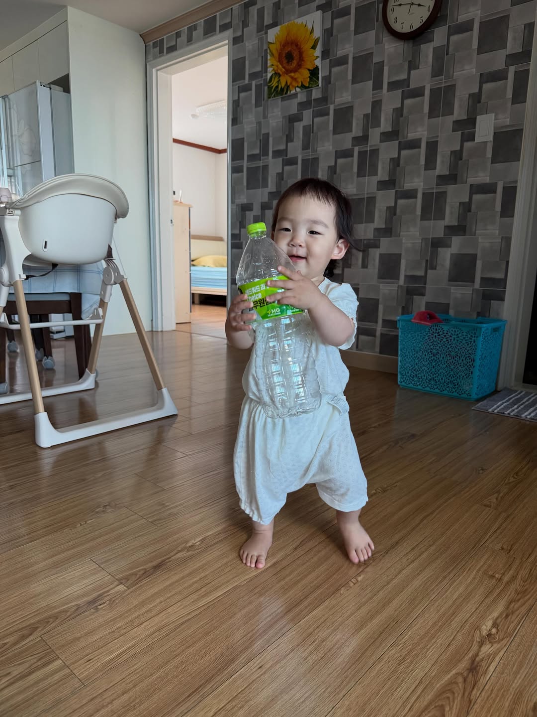 @jiyul__baby이 올린 풀무원 Pulmuone 태그 게시물