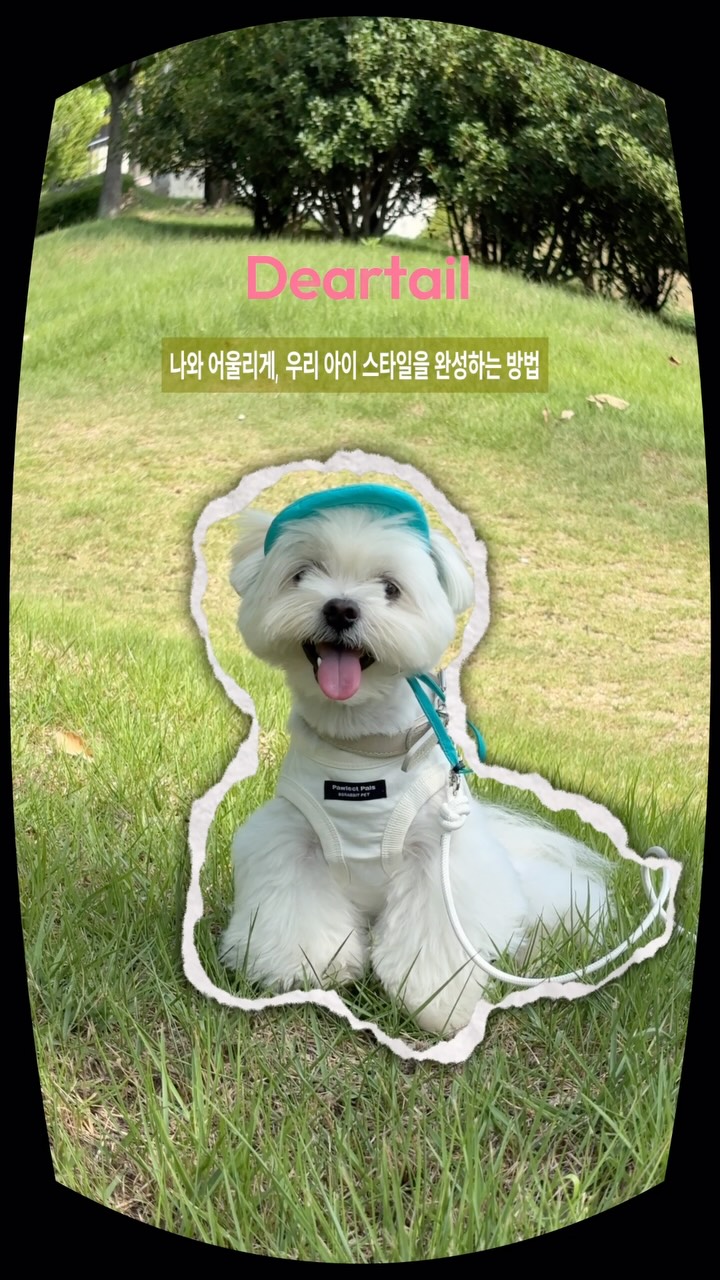 @from.hoday이 올린 디어테일💕 태그 게시물