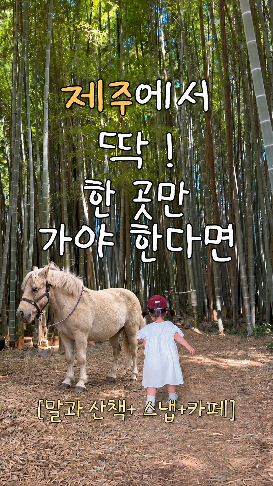 @berry.very_mom이 올린 레브리 뷔아 태그 게시물