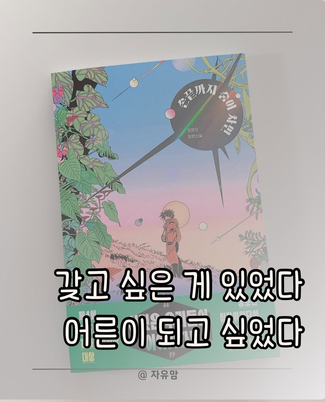 @jayuyu_mom이 올린 위즈덤하우스 키즈 태그 게시물