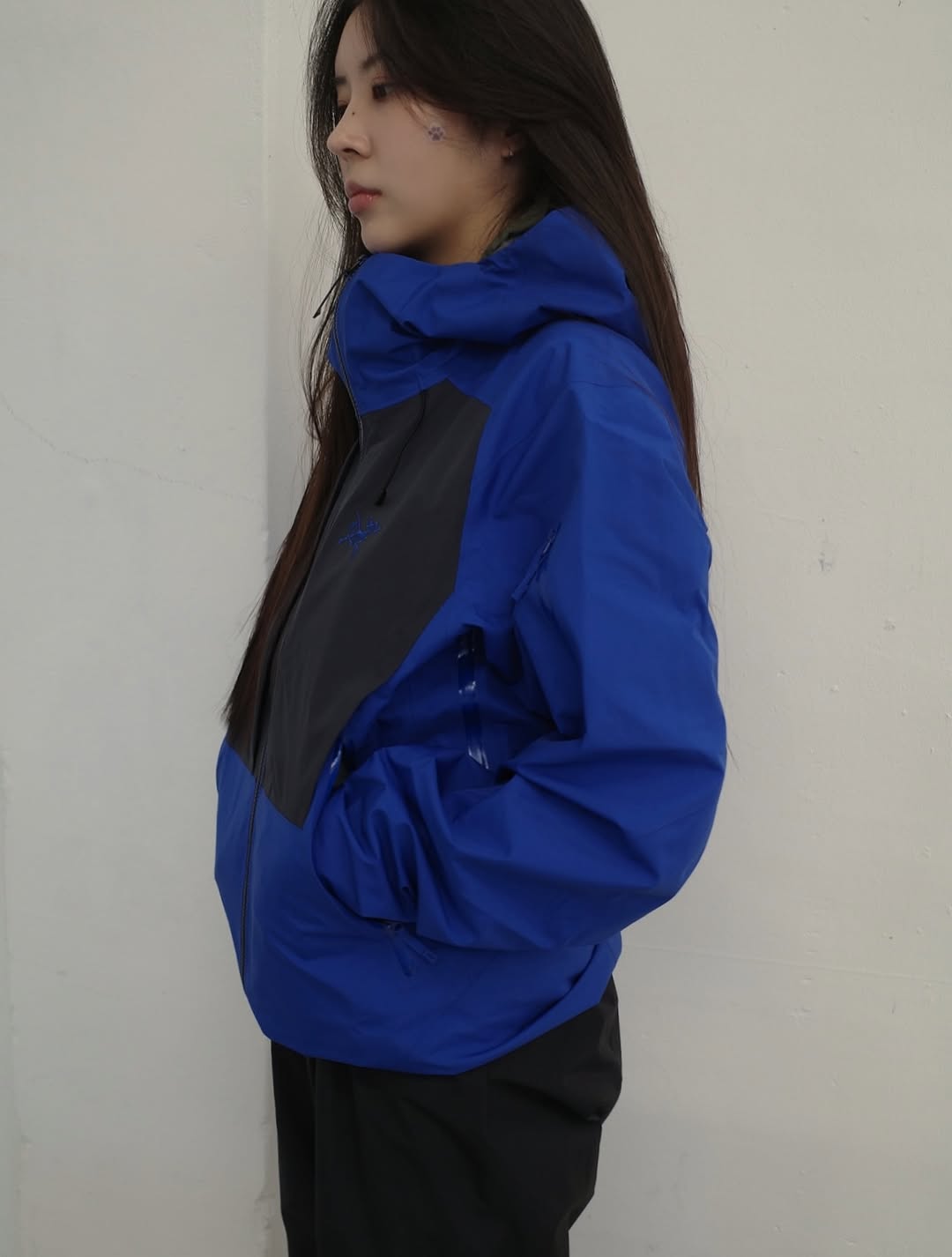 @kongdayeon_이 올린 아크테릭스 태그 게시물