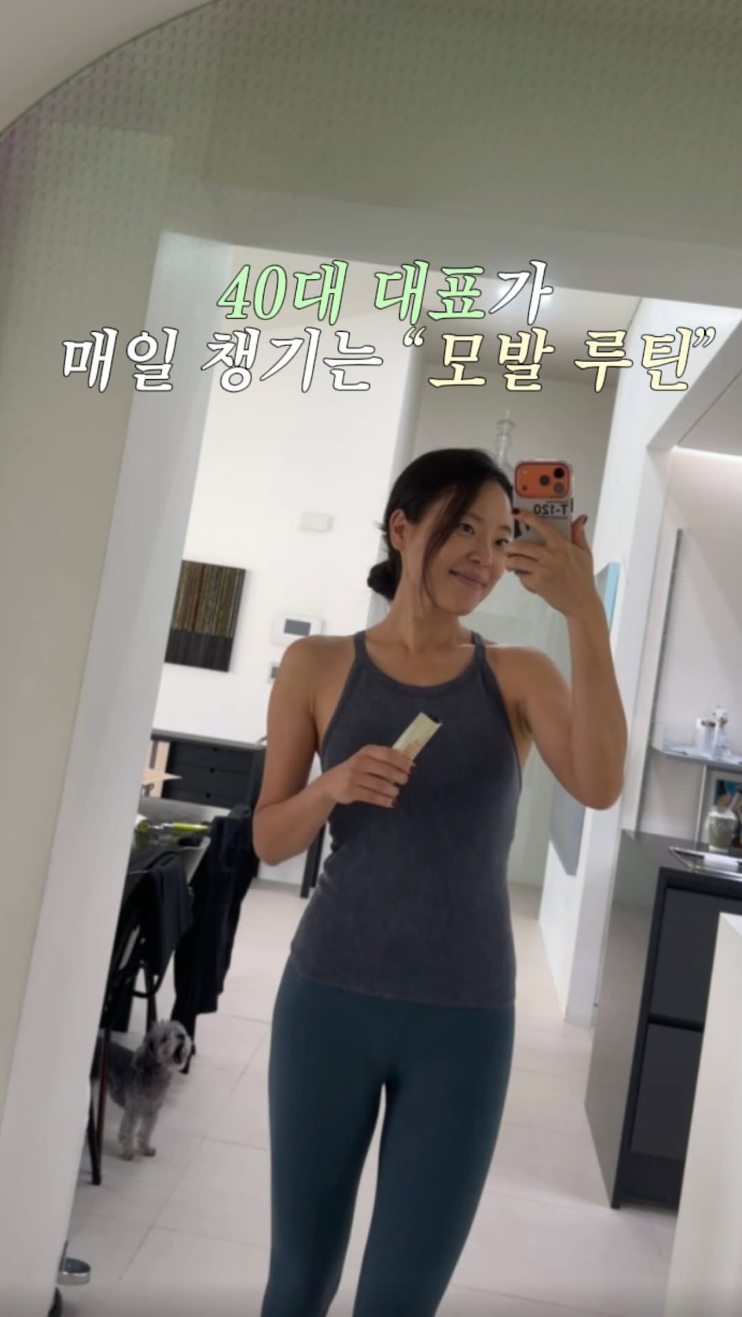 @monttotto이 올린 상하목장 태그 게시물