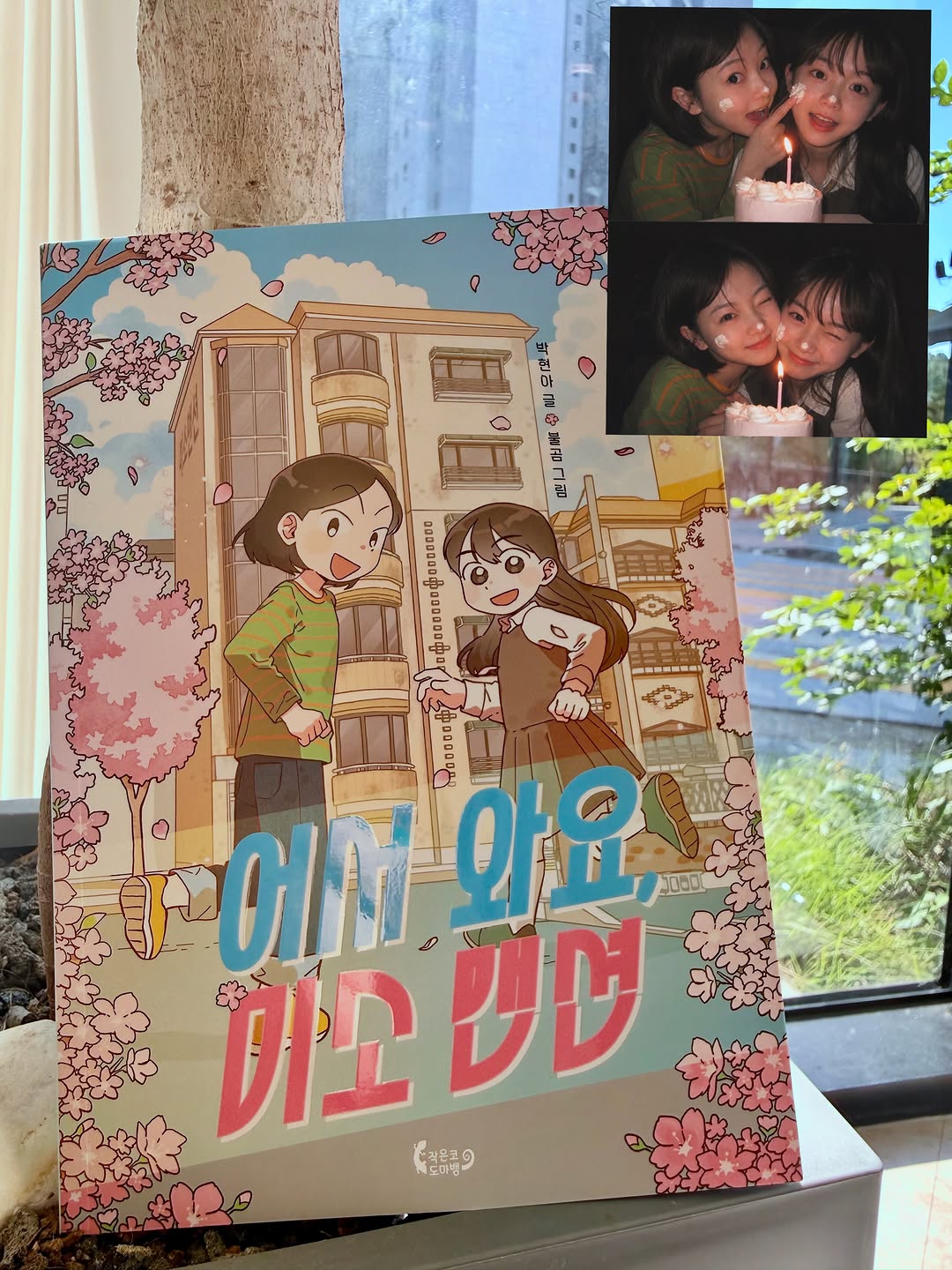 @ddadang_family이 올린 작은코도마뱀 태그 게시물