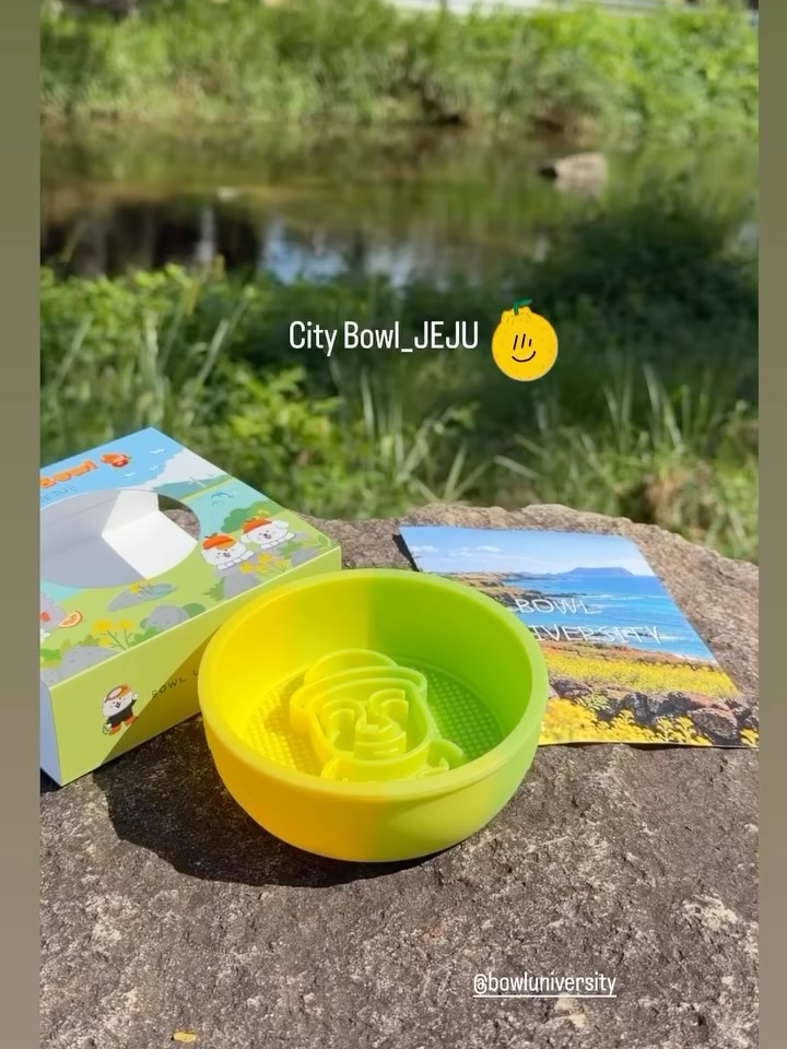 @chakoori_0521이 올린 보울대학교 태그 게시물