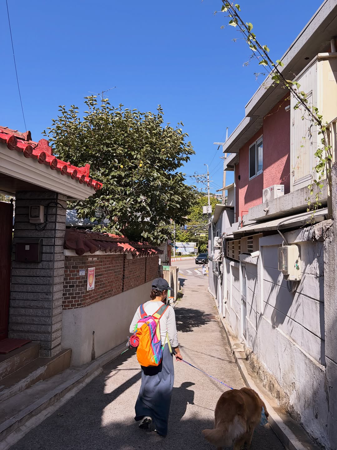 @ssobulgogi이 올린 Cotopaxi Korea 태그 게시물