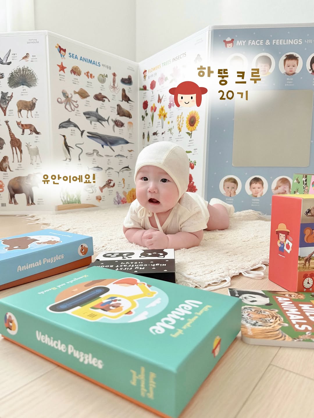 @gamdong_e이 올린 Hattung® 하뚱 태그 게시물