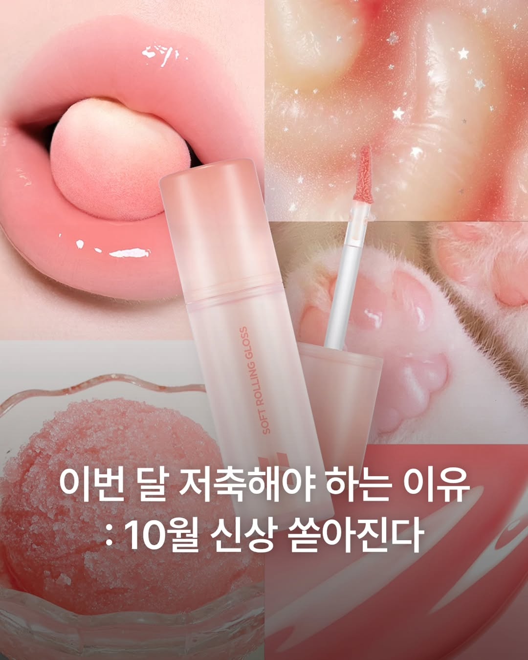 @14f.view이 올린 퓌 태그 게시물