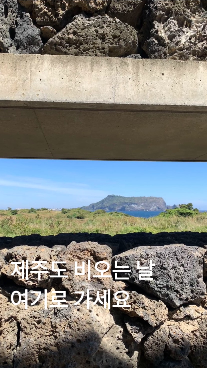 @curator_yeji이 올린 휘닉스 태그 게시물