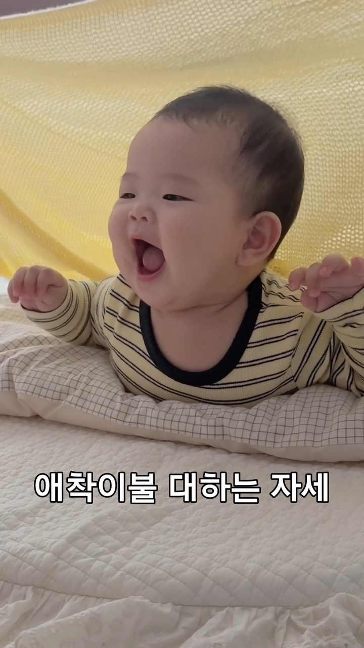 @im.jia.aij이 올린 베베스미스 | 맘편한 아기침구 태그 게시물