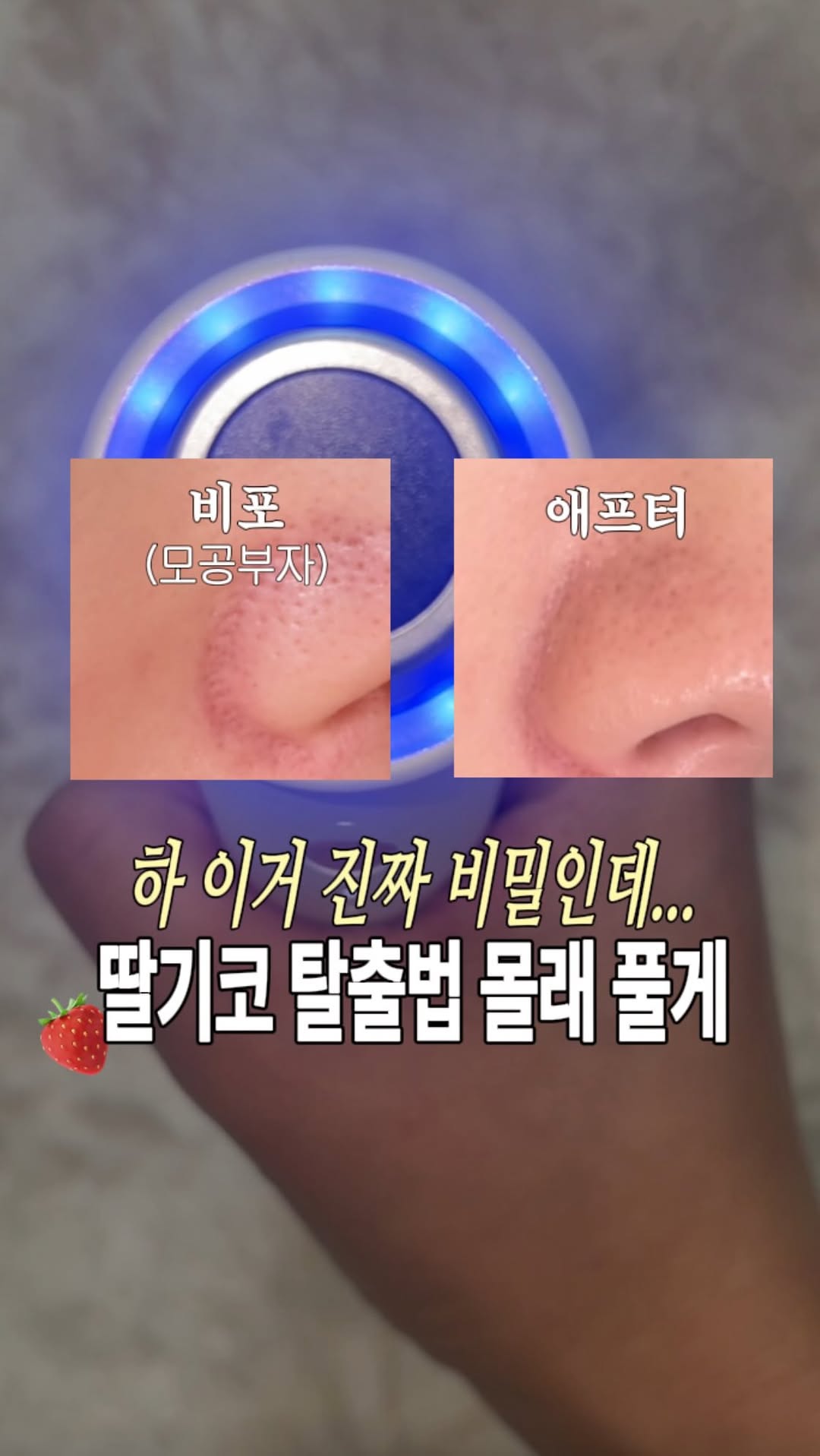 @foglit.tou이 올린 피캄 P.CALM 태그 게시물