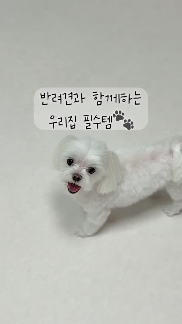 @dalkong826이 올린 위프 Whiff 태그 게시물