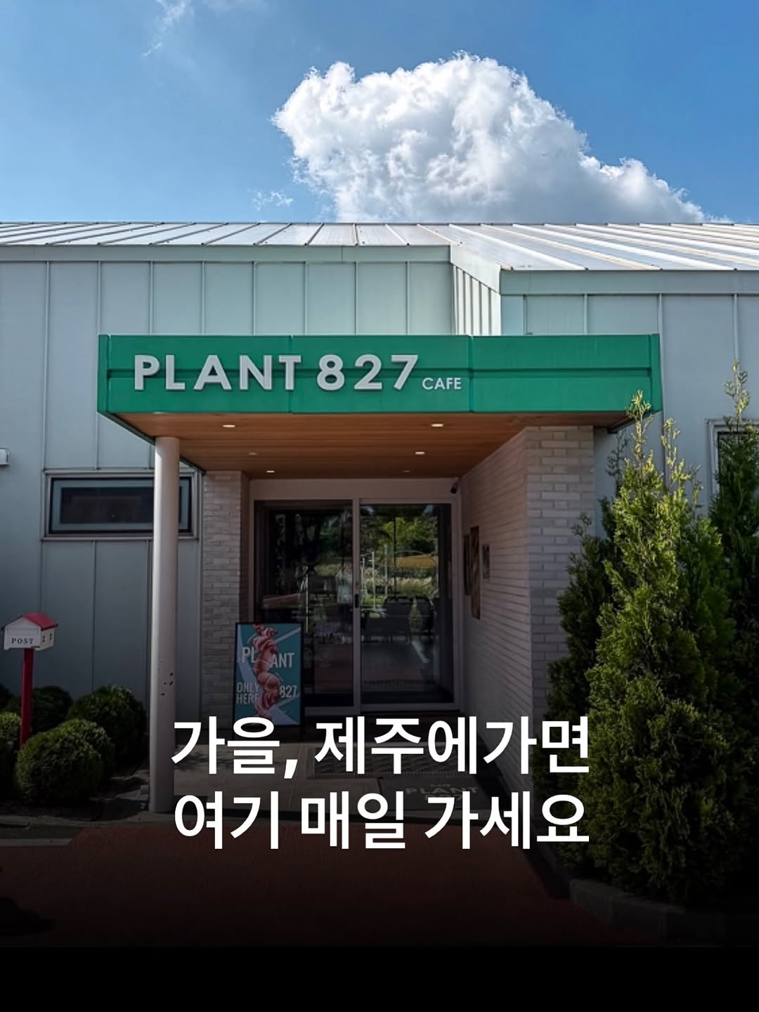 @hyeunyoung_travel이 올린 플랜트827 태그 게시물