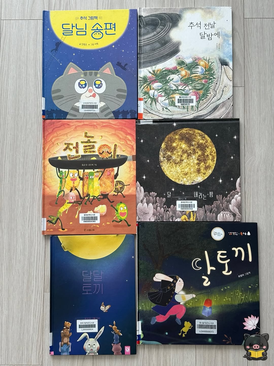 @ddak_kong_i이 올린 소원나무 태그 게시물