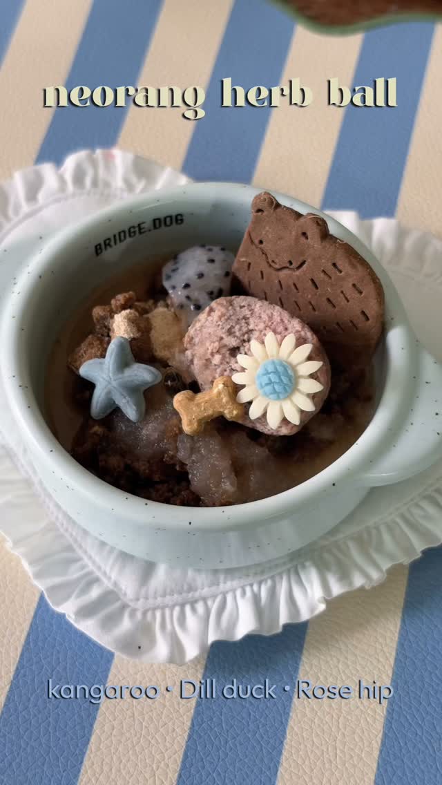 @hoochoo_nuna이 올린 데일리로 태그 게시물